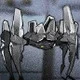 ハガネガニ