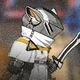 無名の独立騎士