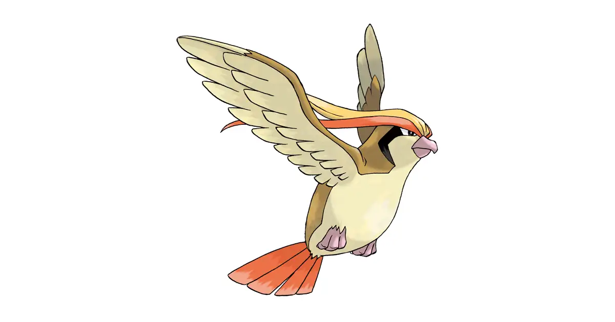 ピジョット