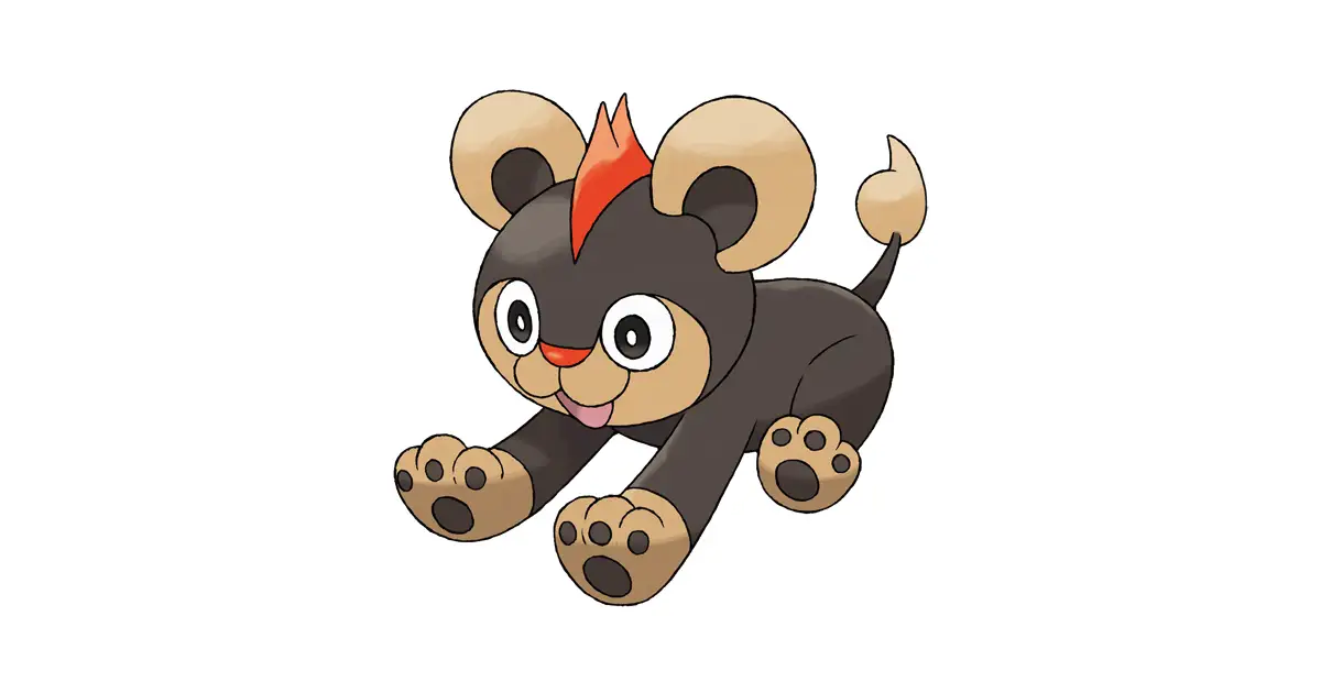 シシコ