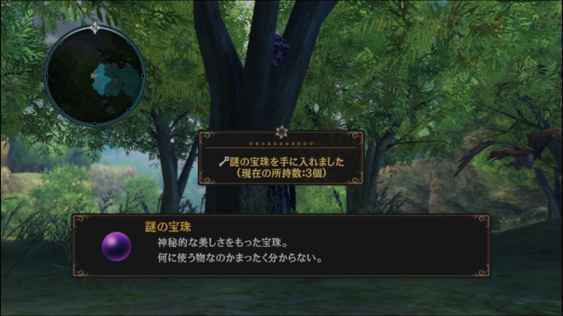 謎の宝珠