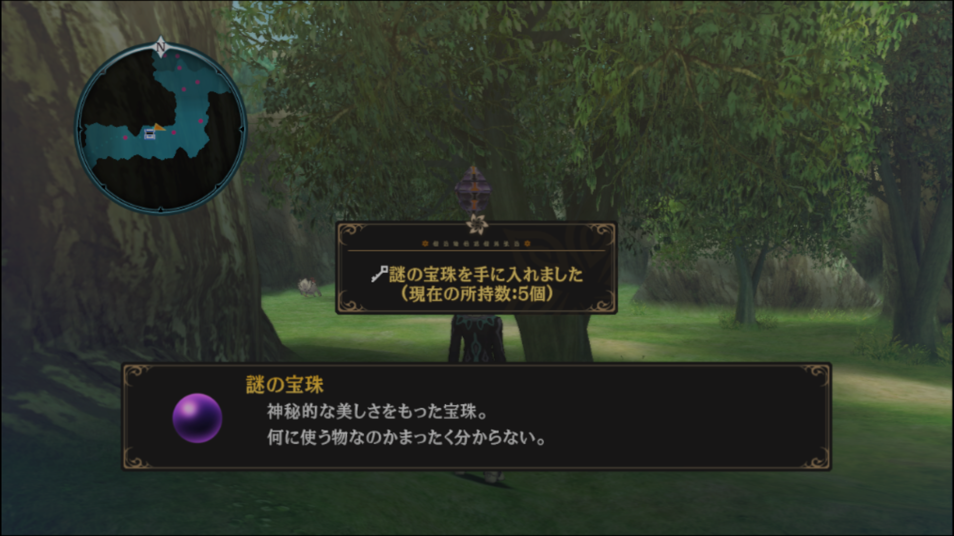 謎の宝珠