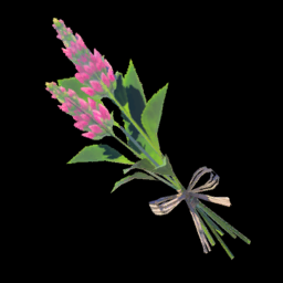 ポカポカハーブ