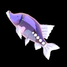 アカリホラウオ