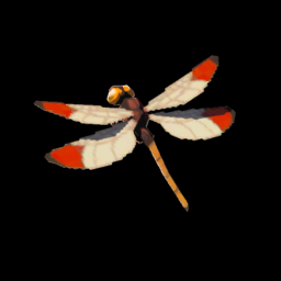 ポカポカヤンマ