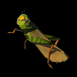 ガンバリバッタ