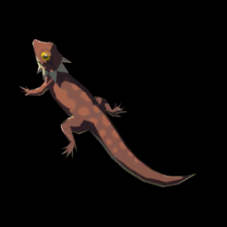 ゴーゴートカゲ