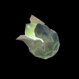 アカリバナの種