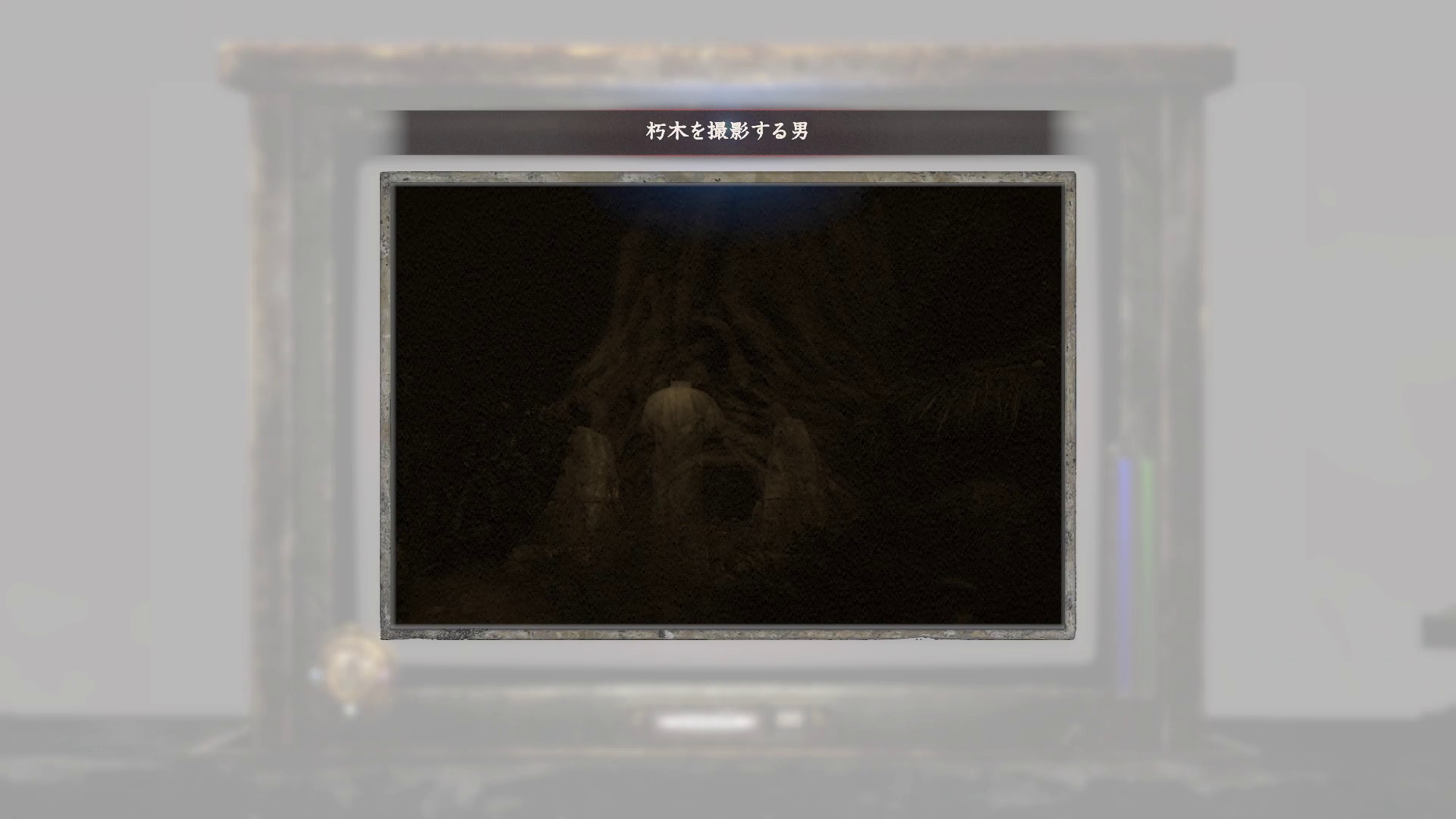 朽木を撮影する男