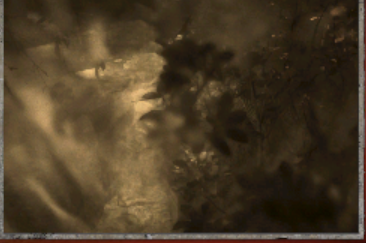 鬼ごっこをする少女