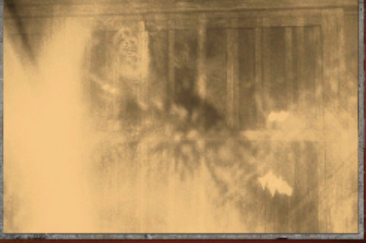 楔に殺された男